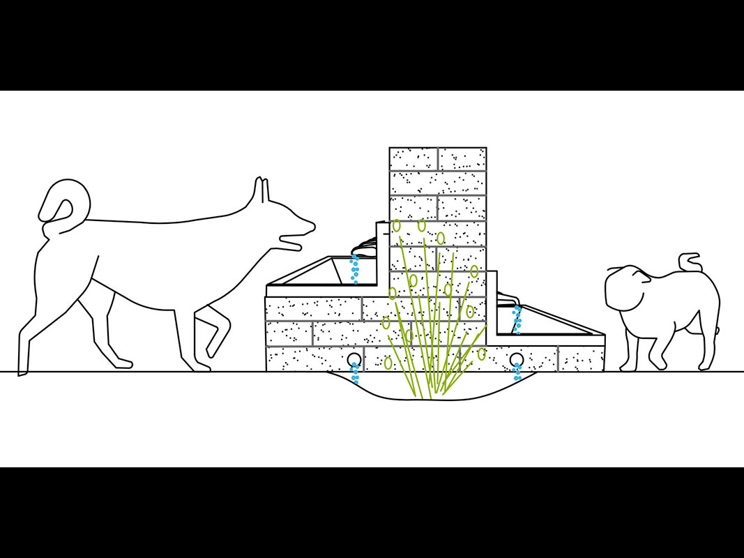 Dog Rehabilitation Center 02